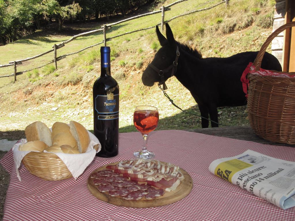 Вилла Agriturismo Agrimon Sabbio Chiese Экстерьер фото
